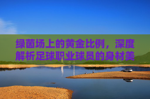 绿茵场上的黄金比例,深度解析足球职业球员的身材美学与科学