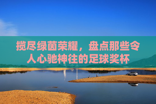 揽尽绿茵荣耀,盘点那些令人心驰神往的足球奖杯