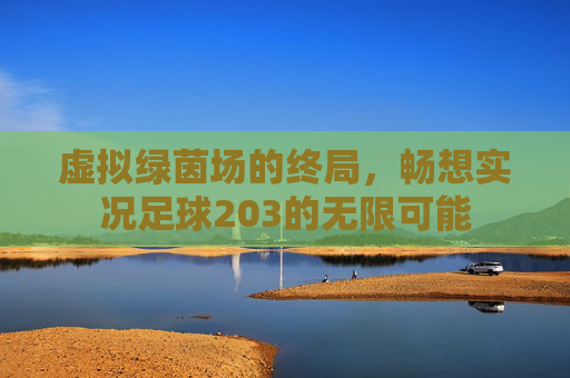 虚拟绿茵场的终局,畅想实况足球203的无限可能