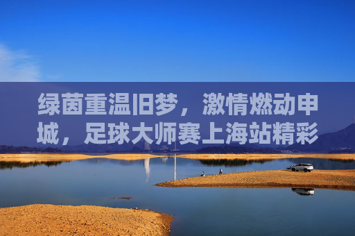 绿茵重温旧梦,激情燃动申城,足球大师赛上海站精彩回顾