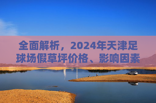 全面解析,2024年天津足球场假草坪价格、影响因素及选购指南