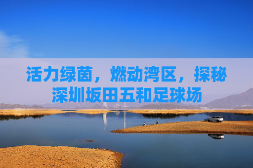 活力绿茵,燃动湾区,探秘深圳坂田五和足球场
