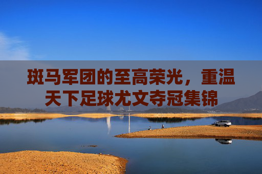 斑马军团的至高荣光，重温天下足球尤文夺冠集锦