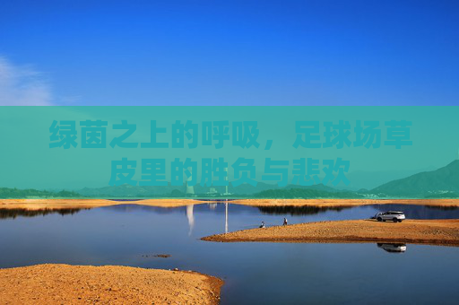 绿茵之上的呼吸,足球场草皮里的胜负与悲欢