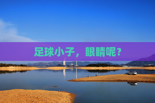 足球小子,眼睛呢?