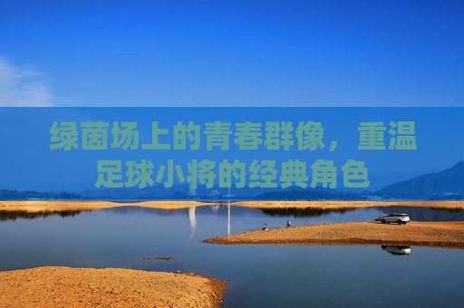 绿茵场上的青春群像,重温足球小将的经典角色