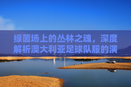 绿茵场上的丛林之魂,深度解析澳大利亚足球队服的演变与魅力