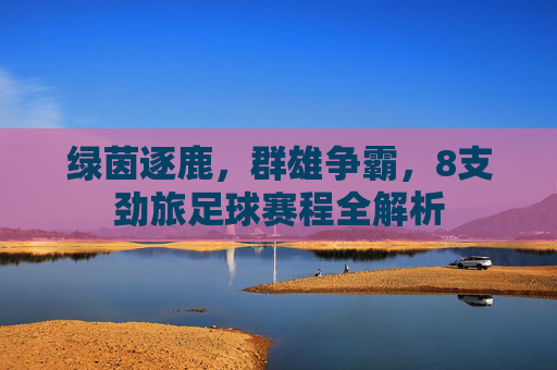 绿茵逐鹿,群雄争霸,8支劲旅足球赛程全解析