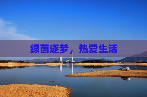 绿茵逐梦,热爱生活