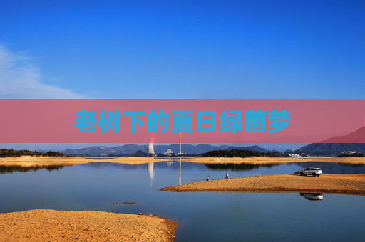 老树下的夏日绿茵梦