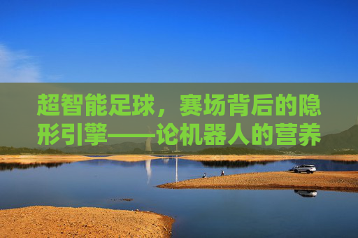 超智能足球,赛场背后的隐形引擎——论机器人的营养与能量