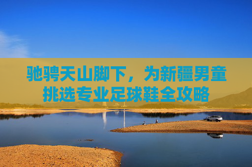 驰骋天山脚下,为新疆男童挑选专业足球鞋全攻略