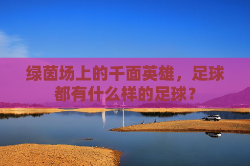 绿茵场上的千面英雄,足球都有什么样的足球?