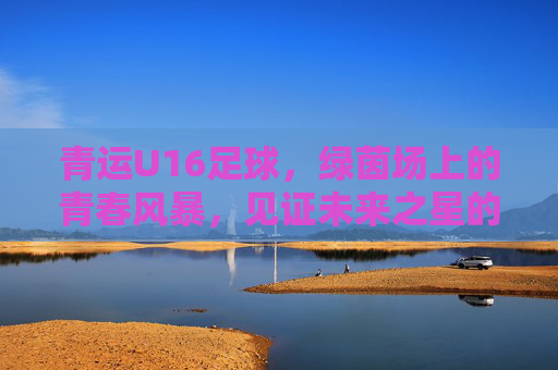 青运U16足球,绿茵场上的青春风暴,见证未来之星的崛起