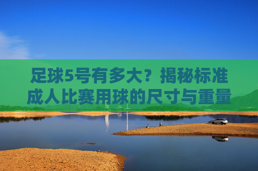 足球5号有多大？揭秘标准成人比赛用球的尺寸与重量