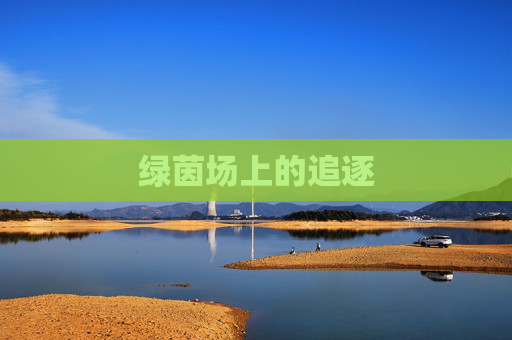 绿茵场上的追逐