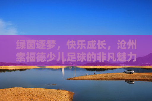 绿茵逐梦，快乐成长，沧州索福德少儿足球的非凡魅力