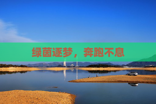 绿茵逐梦,奔跑不息