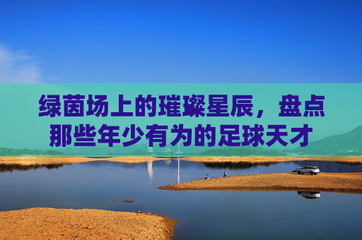 绿茵场上的璀璨星辰,盘点那些年少有为的足球天才