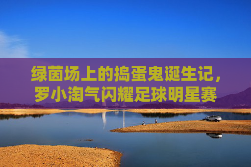 绿茵场上的捣蛋鬼诞生记,罗小淘气闪耀足球明星赛