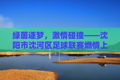 绿茵逐梦,激情碰撞——沈阳市沈河区足球联赛燃情上演
