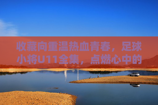 收藏向重温热血青春,足球小将U11全集,点燃心中的绿茵梦