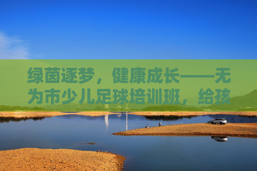 绿茵逐梦,健康成长——无为市少儿足球培训班,给孩子一个驰骋的童年