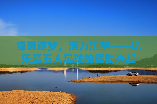 绿茵逐梦,活力乐至——记乐至五人足球的蓬勃兴起