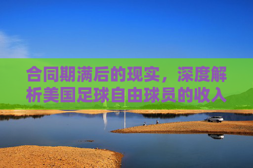 合同期满后的现实,深度解析美国足球自由球员的收入困境与机遇