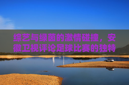 综艺与绿茵的激情碰撞,安徽卫视评论足球比赛的独特风格