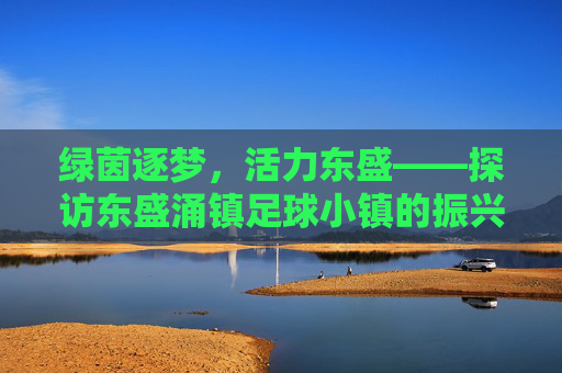 绿茵逐梦,活力东盛——探访东盛涌镇足球小镇的振兴之路
