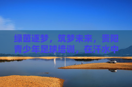 绿茵逐梦,筑梦未来,贵阳青少年足球培训,在汗水中铸就卓越品格