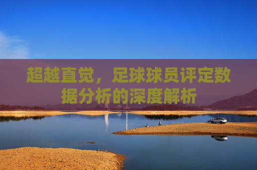 超越直觉,足球球员评定数据分析的深度解析