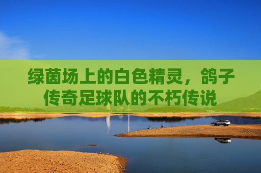 绿茵场上的白色精灵,鸽子传奇足球队的不朽传说