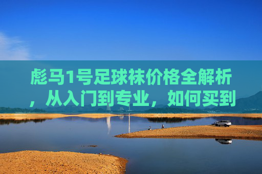 彪马1号足球袜价格全解析,从入门到专业,如何买到高性价比装备?