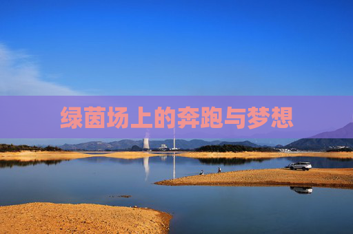 绿茵场上的奔跑与梦想