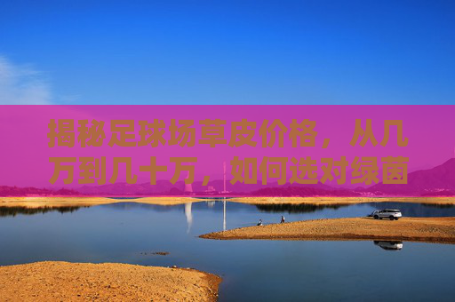 揭秘足球场草皮价格,从几万到几十万,如何选对绿茵毯?