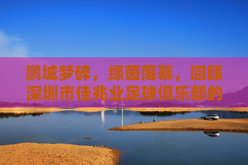 鹏城梦碎,绿茵落幕,回顾深圳市佳兆业足球俱乐部的兴衰路