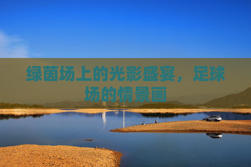 绿茵场上的光影盛宴，足球场的情景画