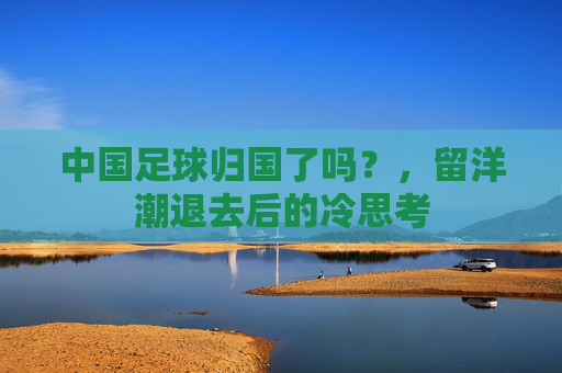 中国足球归国了吗?,留洋潮退去后的冷思考