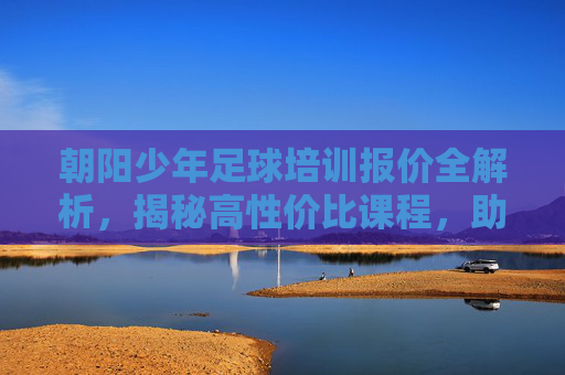 朝阳少年足球培训报价全解析,揭秘高性价比课程,助孩子圆梦绿茵场