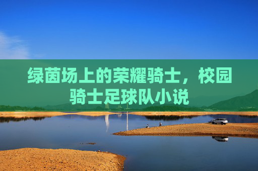 绿茵场上的荣耀骑士,校园骑士足球队小说
