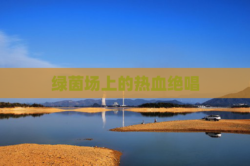 绿茵场上的热血绝唱