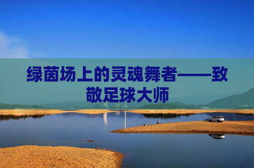 绿茵场上的灵魂舞者——致敬足球大师