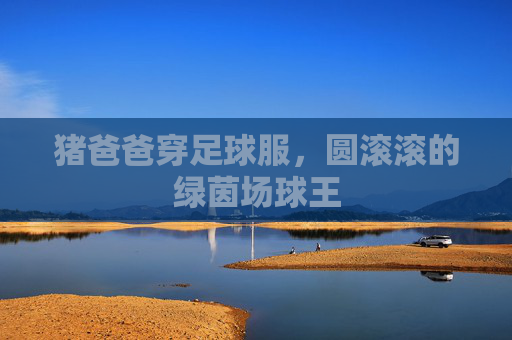 猪爸爸穿足球服，圆滚滚的绿茵场球王
