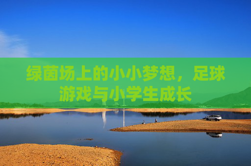 绿茵场上的小小梦想,足球游戏与小学生成长