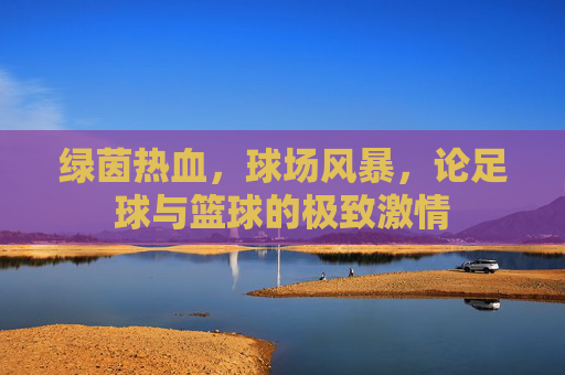 绿茵热血,球场风暴,论足球与篮球的极致激情