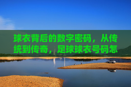 球衣背后的数字密码，从传统到传奇，足球球衣号码怎么取的？