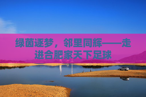 绿茵逐梦,邻里同辉——走进合肥家天下足球