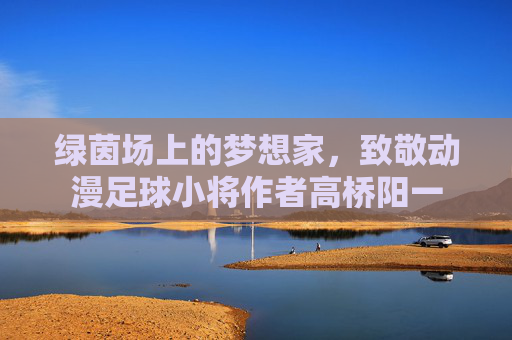 绿茵场上的梦想家，致敬动漫足球小将作者高桥阳一